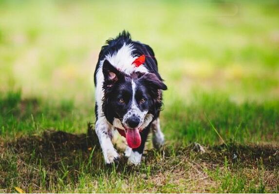 😓998CC彩票app最新版本🌵、探索998CC彩票最新版本带来的全新体验🌟？