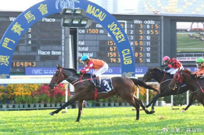 2023今晚澳门开特马，揭秘幸运之夜的前奏与期待✅✅✅