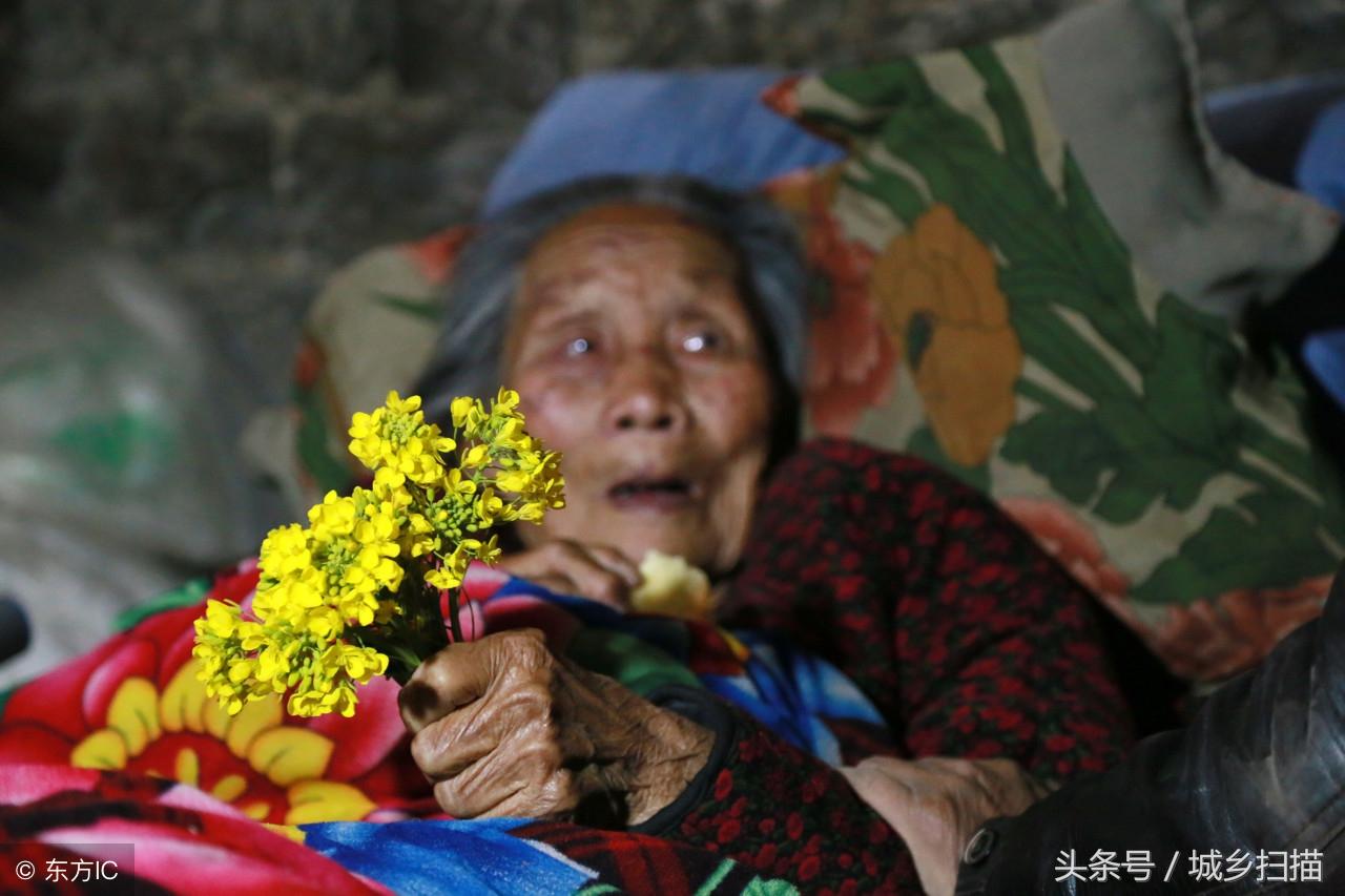 警惕！PG95彩票背后的陷阱与风险✅✅✅pg59彩票网