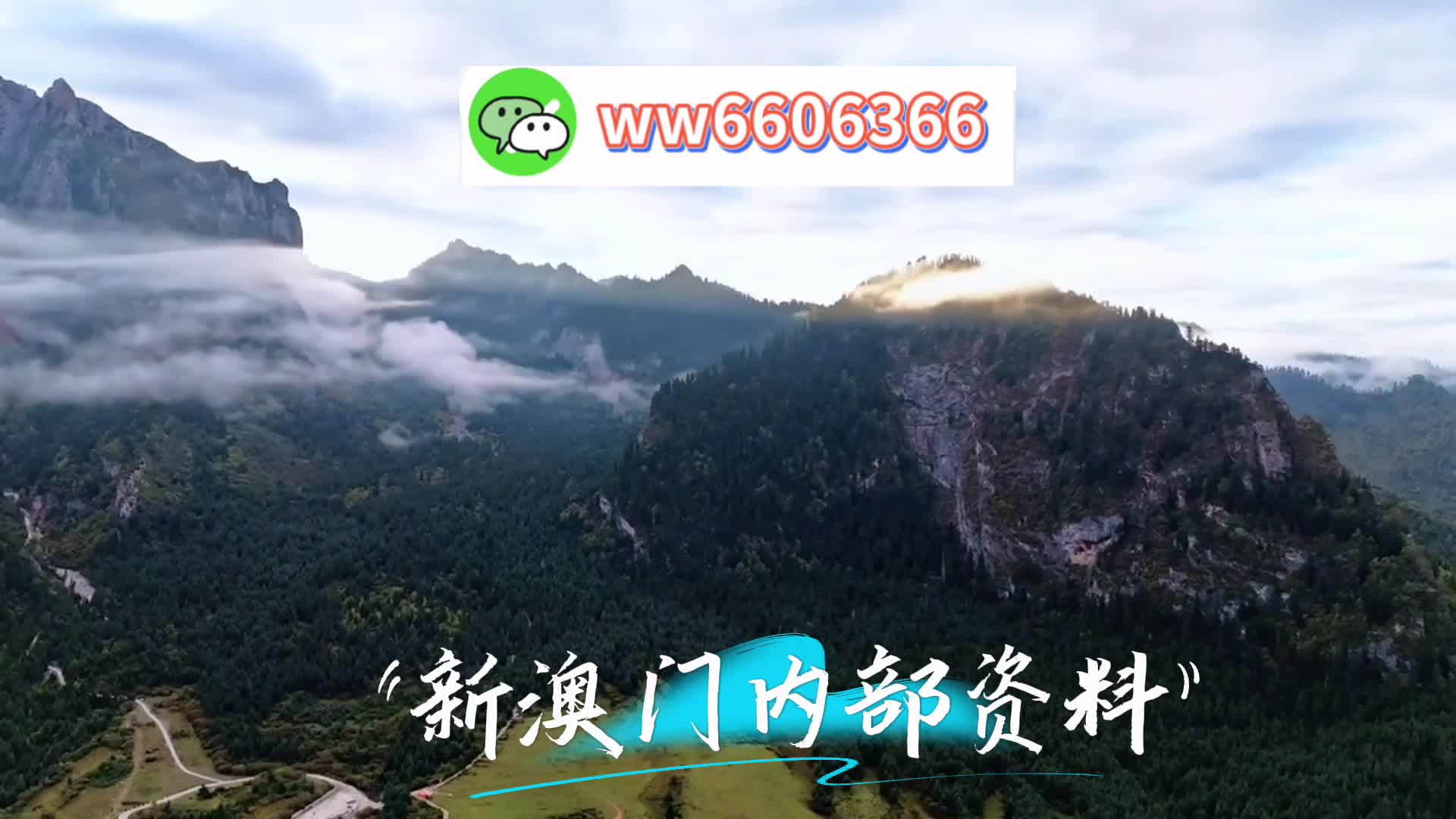 澳门管家一肖一特预测，揭秘背后的神秘与科学✅✅✅