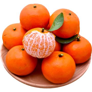 橘子官网，连接甜蜜与科技的奇妙之旅 🍊✅✅✅it橘子官网